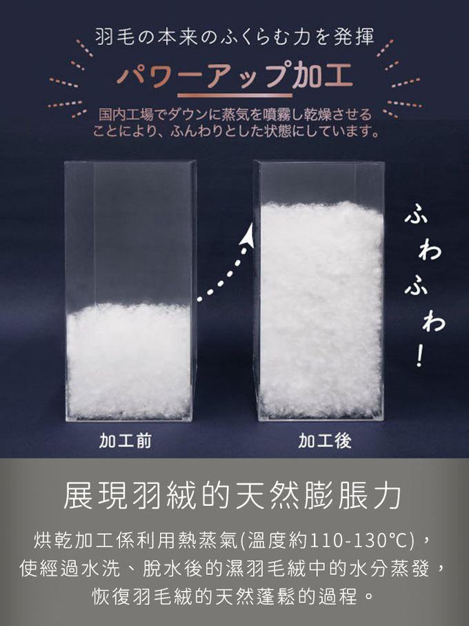 ROMANCE 小杉 - 日本製保加利亞輕量保暖白色羽絨被150x210cm