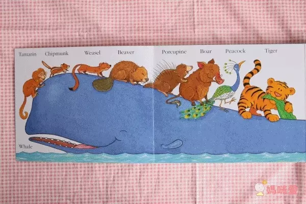 人氣外文操作書✭部落客都推薦的百葉窗書 / 觸摸翻翻書/ 推拉操作書