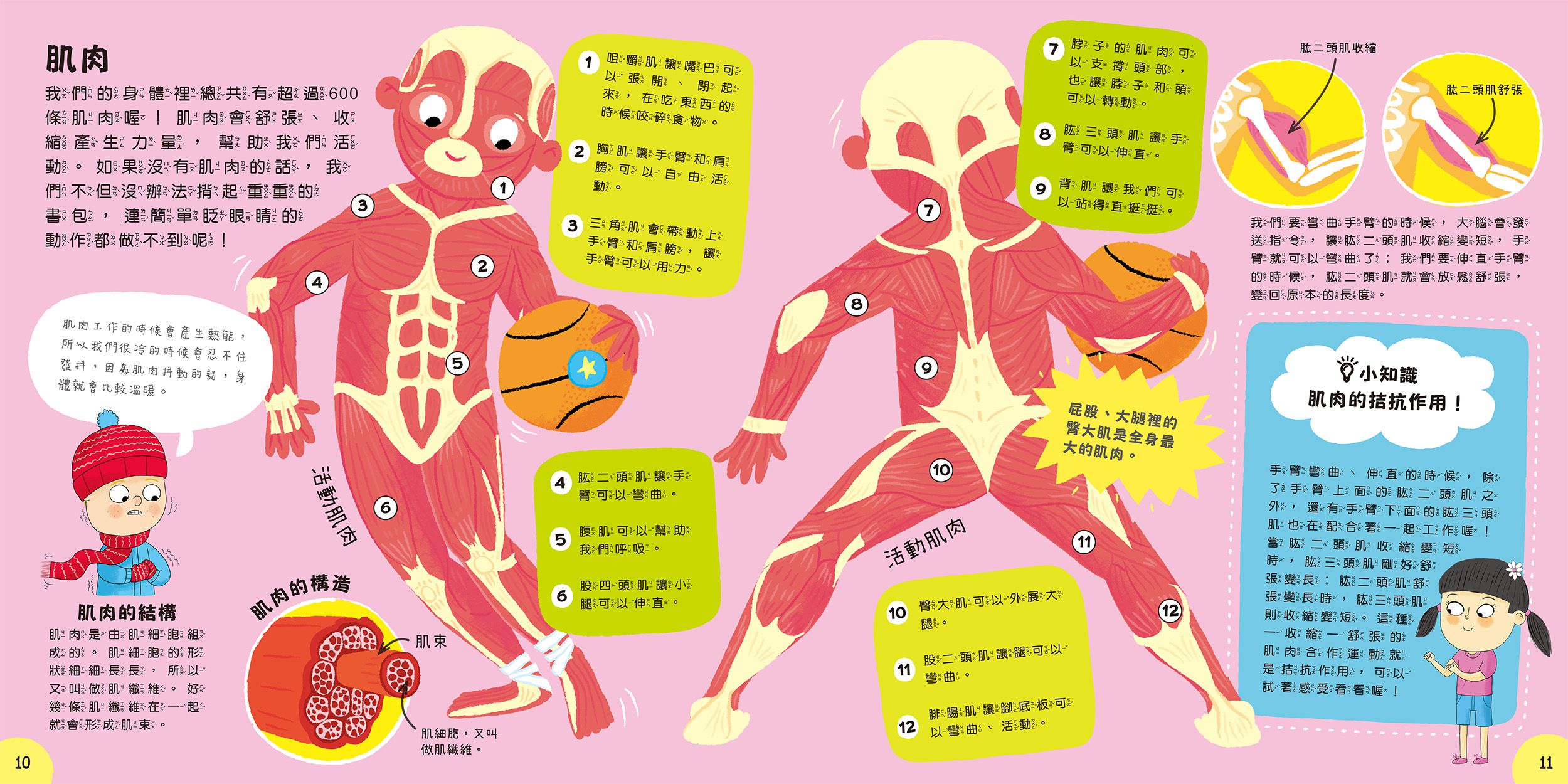 小小知識家的百科書套書10冊(書盒版)