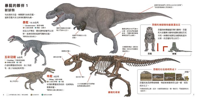 大人小孩都愛！——生活圖鑑繪本集