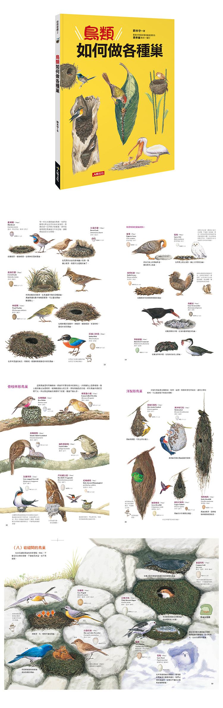 鳥類如何做各種巢