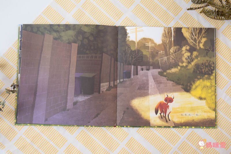 小狐狸回家-精裝圖畫書