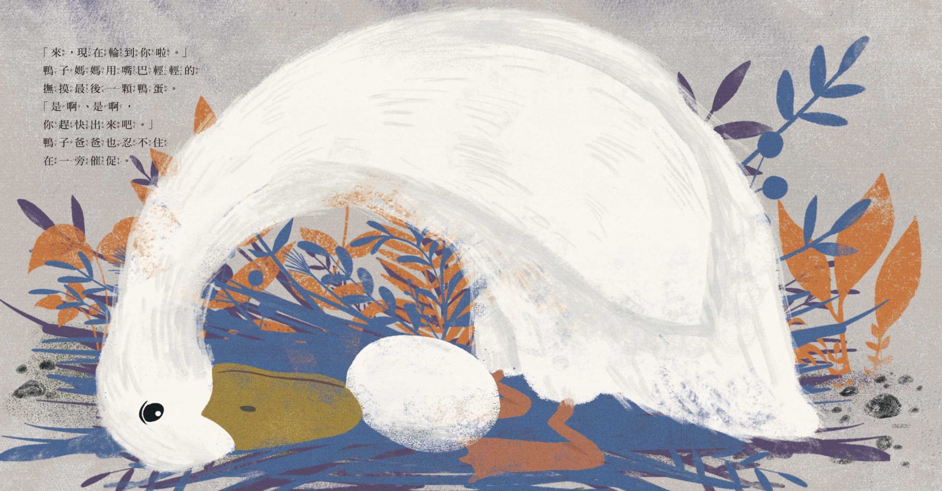 鴨子家族大搬家