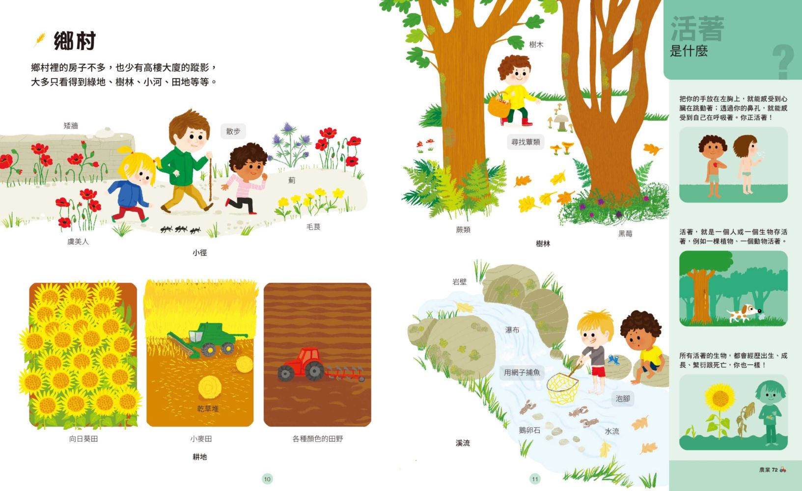 好奇心圖解大百科6奇妙自然