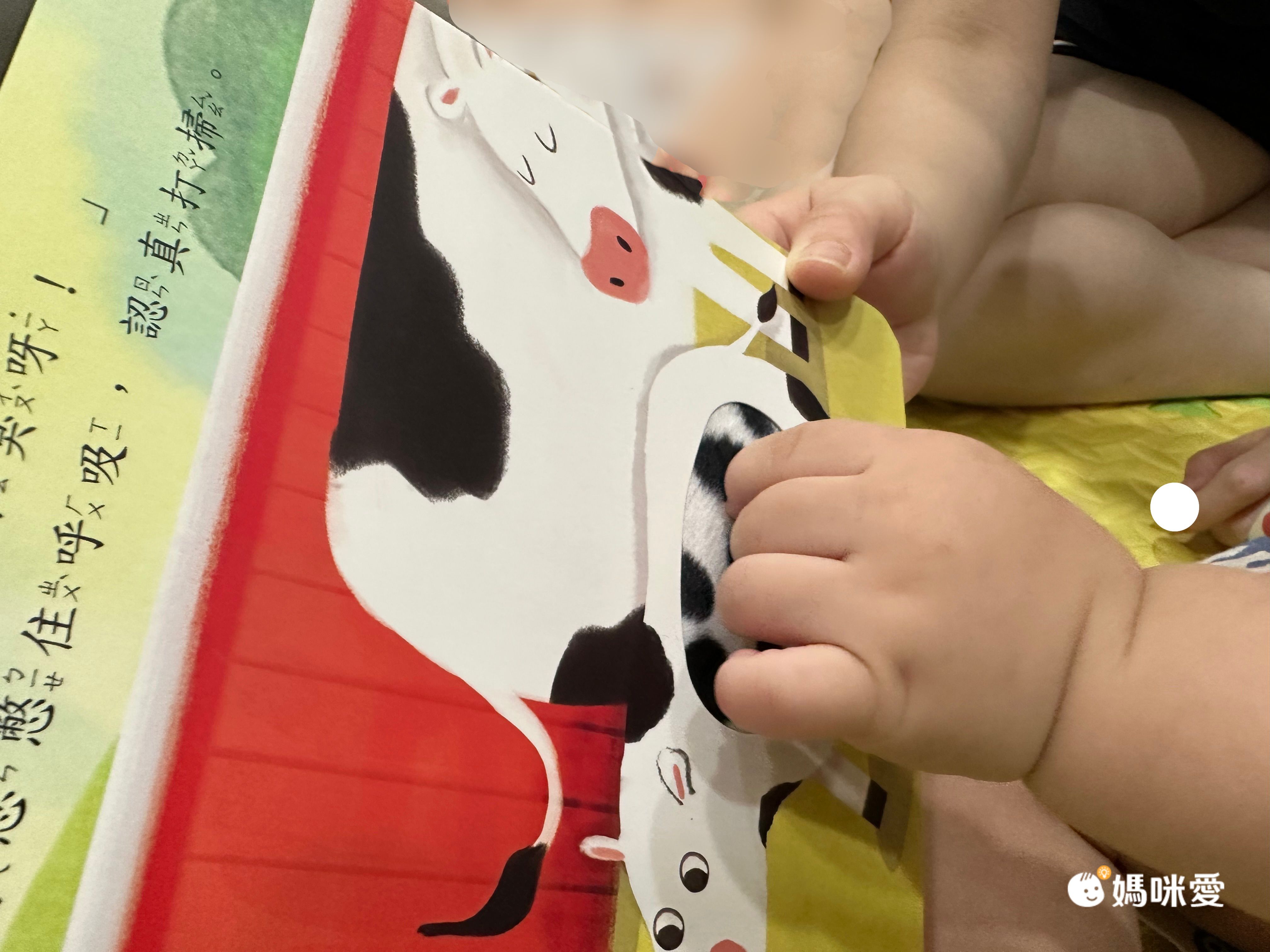 【STEAM教養遊戲繪本】(全套20冊)