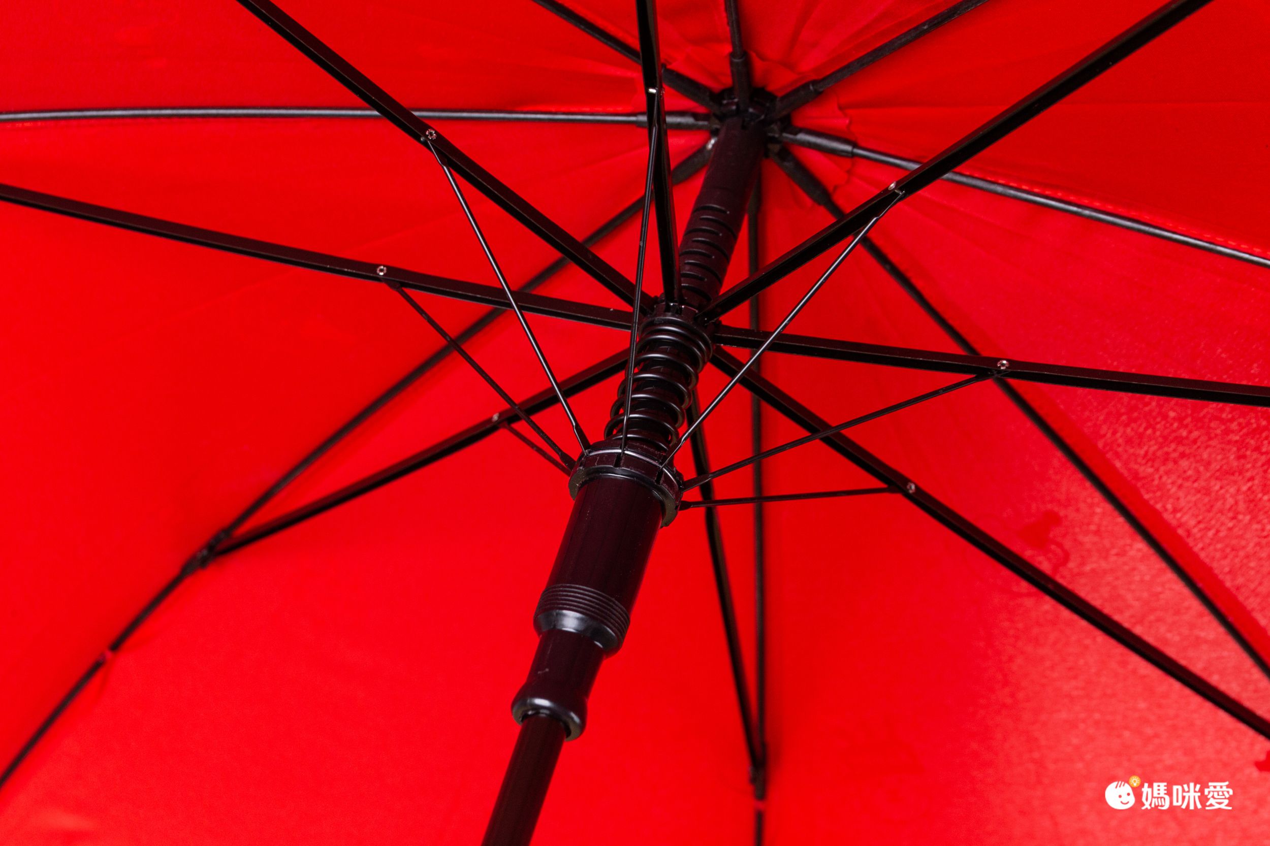 韓國 Daily Like - 直立式長雨傘-含羞草-深綠