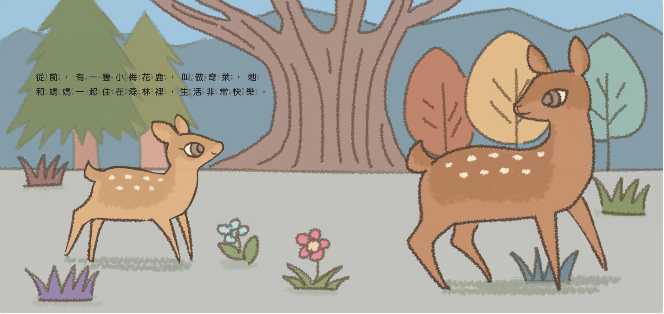 臺灣原生動物故事繪本★-4本組：石虎、小鹿、獼猴、小黑熊