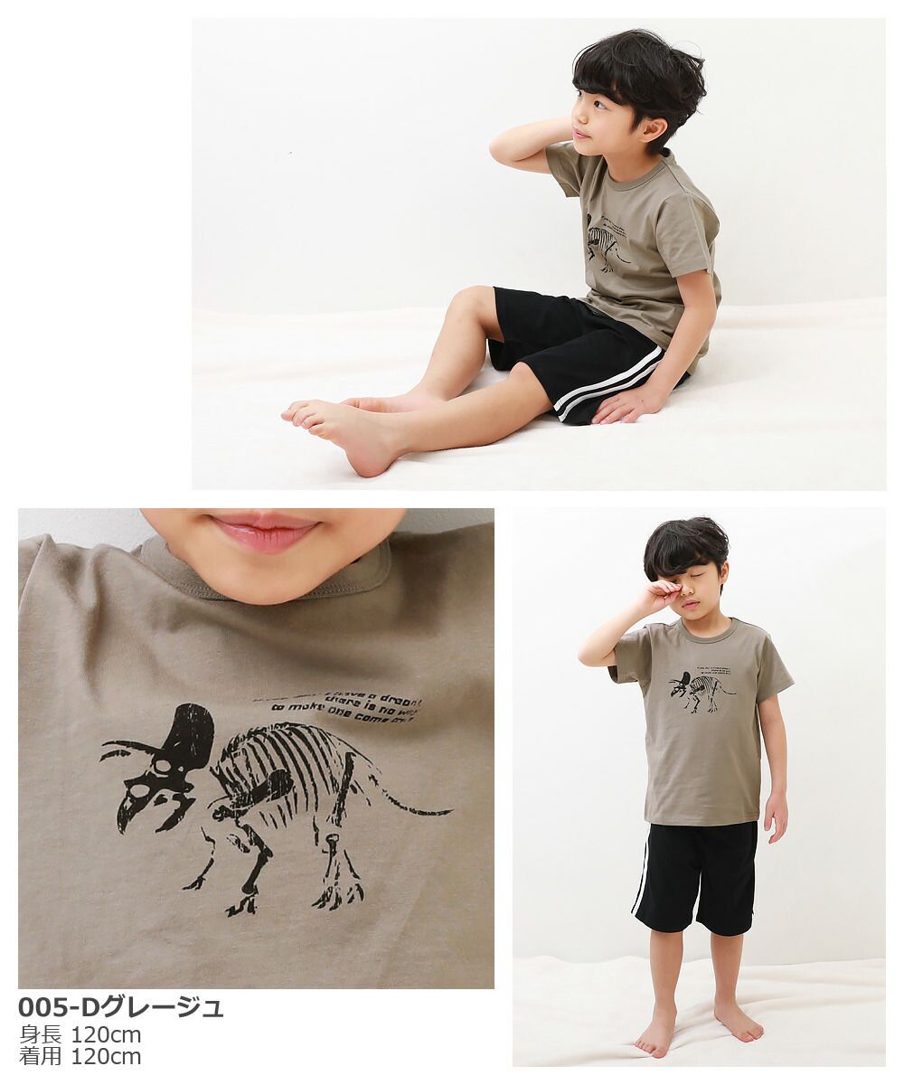 日本 devirock - 純棉舒適短袖家居服/睡衣-恐龍化石-軍綠