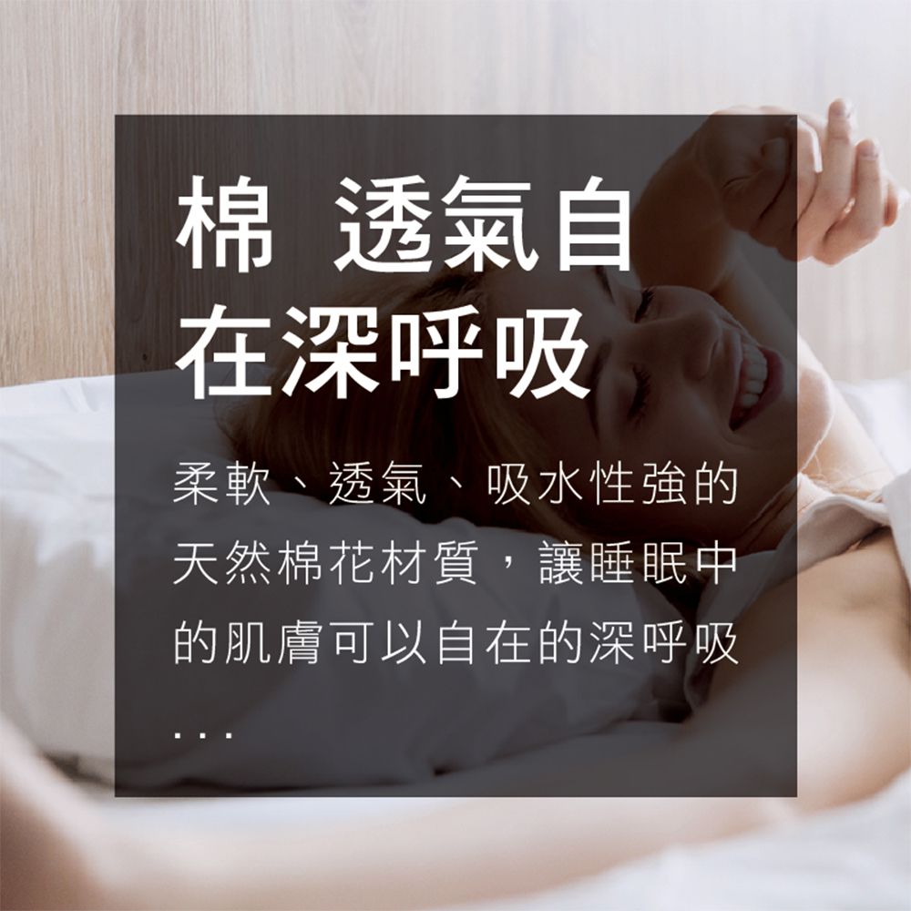 美國寢之堡 - 柔棉床包式防水防螨保潔墊-白 (加大( Queen)-182x190x45cm)