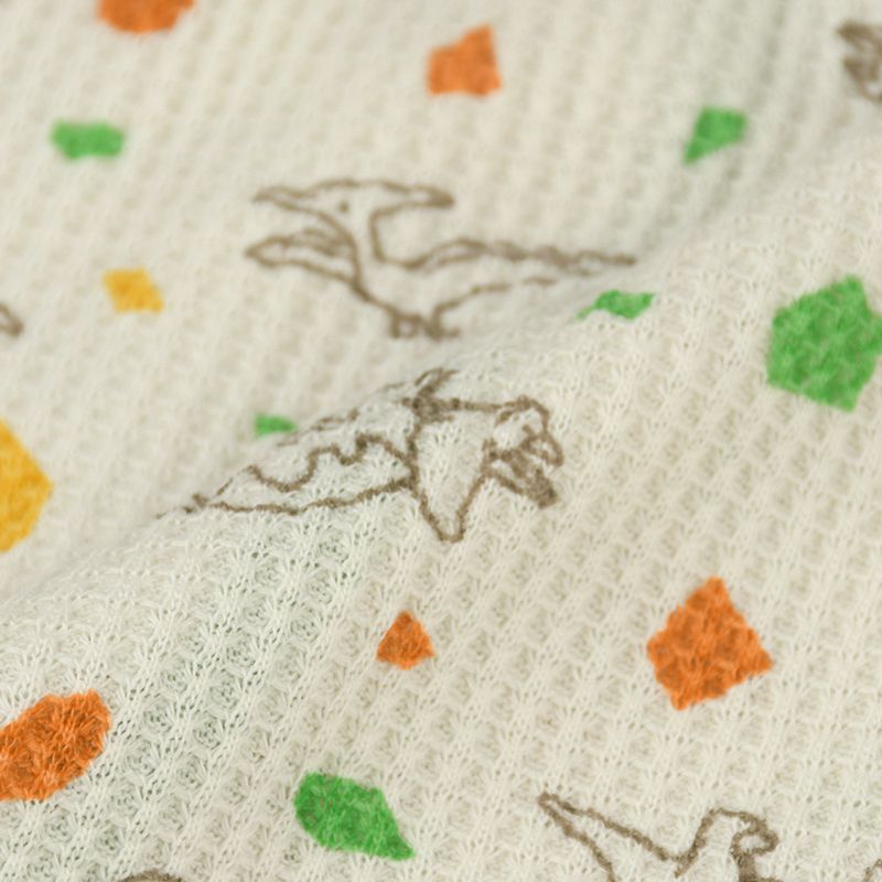 akachan honpo - 四角褲2件組-恐龍、格紋-綠色