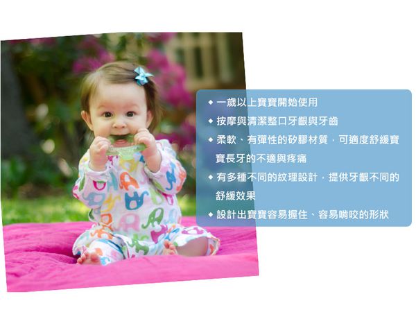 美國 green sprouts - 小綠芽食品安全等級矽膠固齒器/潔牙固齒器-單入組-水藍