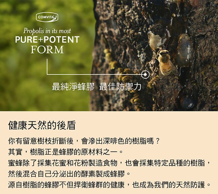 Comvita - 麥蘆卡蜂蜜潤喉糖(檸檬味)40粒 (2022.12)-40粒