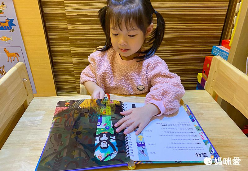 【禾流文創】拿起手電筒，來場夜間探險！『Spotlight！夜遊系列』