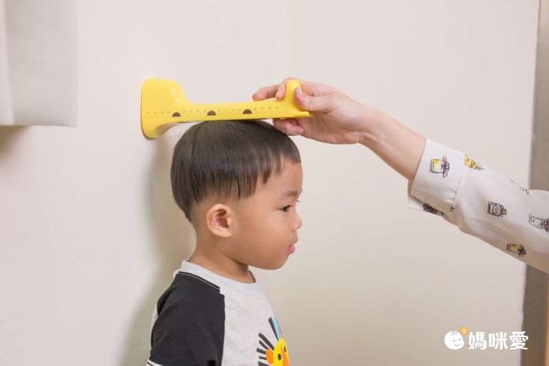 【日本Hashy】長頸鹿身高測量器