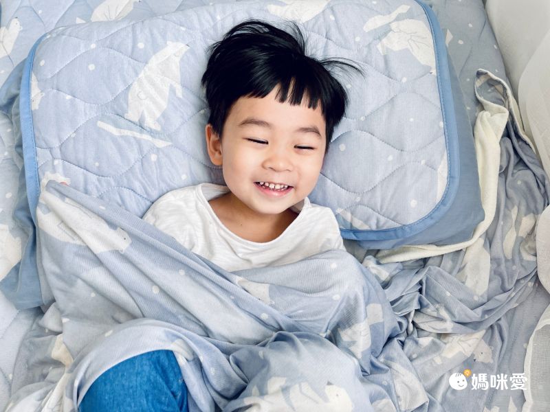 日本小泉 - 節電對策冷感波浪紋枕頭墊-北歐花草-薄荷 (43x63cm)