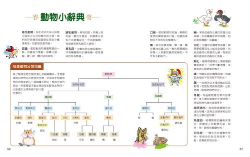 一樣不一樣：陸生動物【A級福利品特惠】-全彩 (單本)-精裝