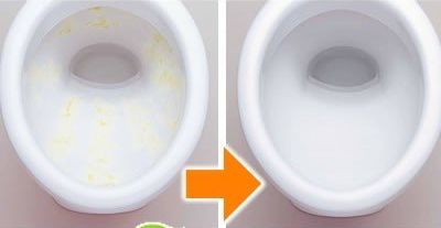 日本代購 - 日本製 POWER BIO 防霉 / 除臭貼片-浴室用