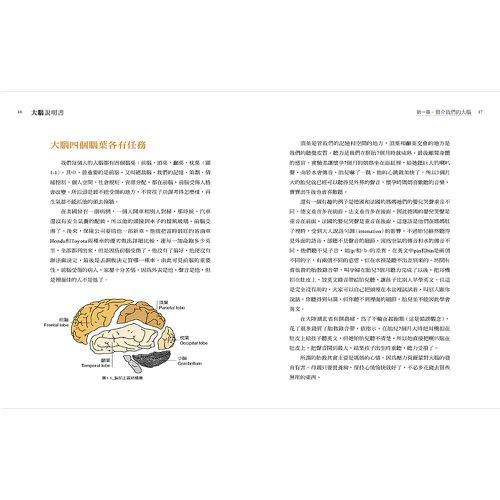 大腦說明書－誰在操控生活大小事？