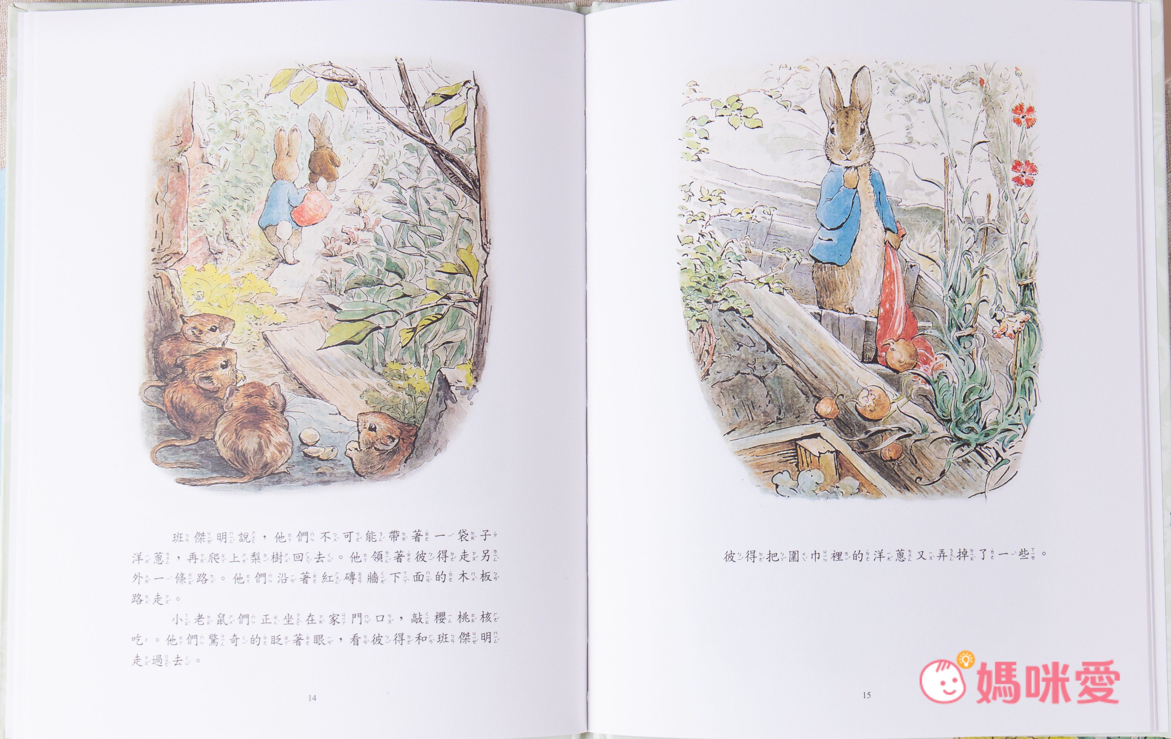 環境保護大作戰【拯救海龜】新書上市