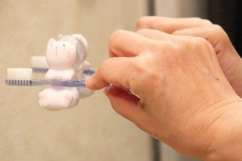 日本 Hashy - 造型牙刷支架-貓咪-花貓