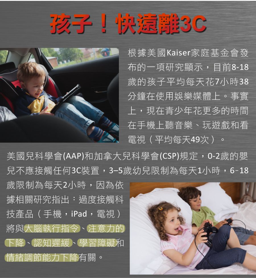 荷蘭BS - 機智的鸚鵡-8歲以上