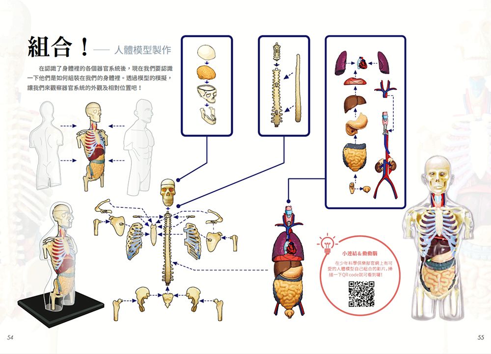 國家地理科學盒子：設計精密的人體 (盒裝 / 全彩印刷)