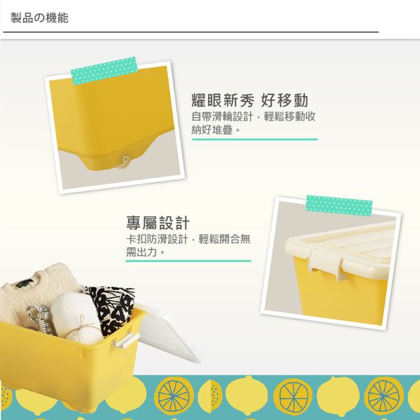 日本JEJ - for.c vivid繽紛整理箱 深50  3入-橘色