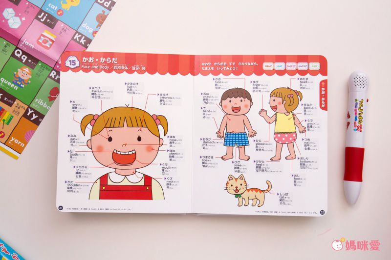 四國語言點讀字典(531字)-中英日韓