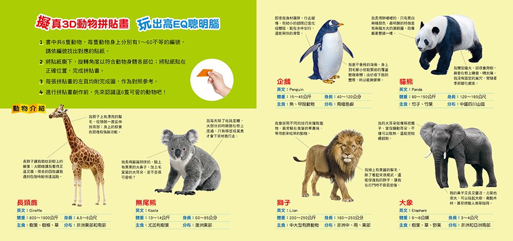 立體拼貼遊戲-動物
