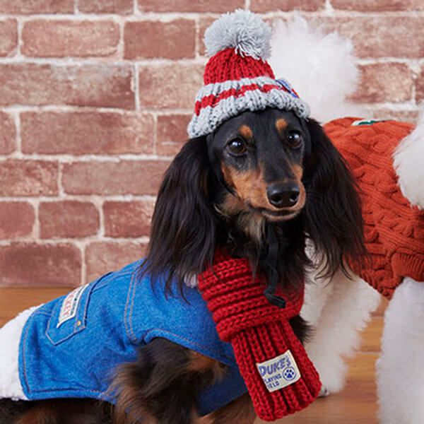 日本代購 - 麻花編織寵物帽/寵物頭套-酒紅 (M)