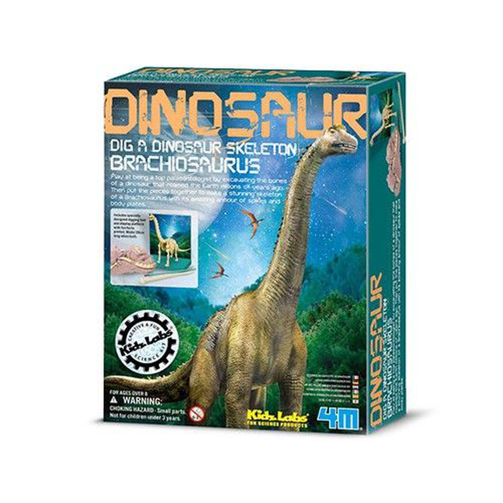 香港4M創意玩具 - 挖掘腕龍 Branchosaurus Skeleton