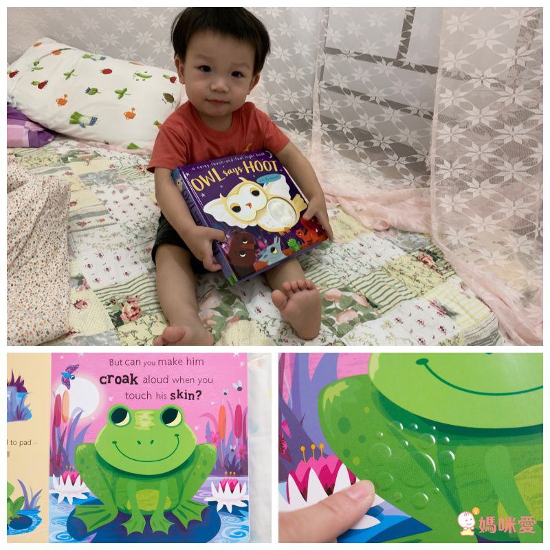 Owl says Hoot-Noisy Touch and Feel 熱鬧的森林夜晚 (觸摸音效書)