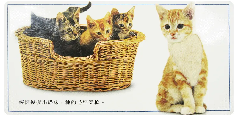 上誼文化聖誕禮物書7折起❤世界經典繪本套組☆穿越時空☆0～6歲各國大小朋友都愛讀！