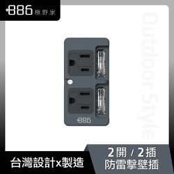 +886 [極野家] - 2開2壁插/防雷擊-迷霧灰