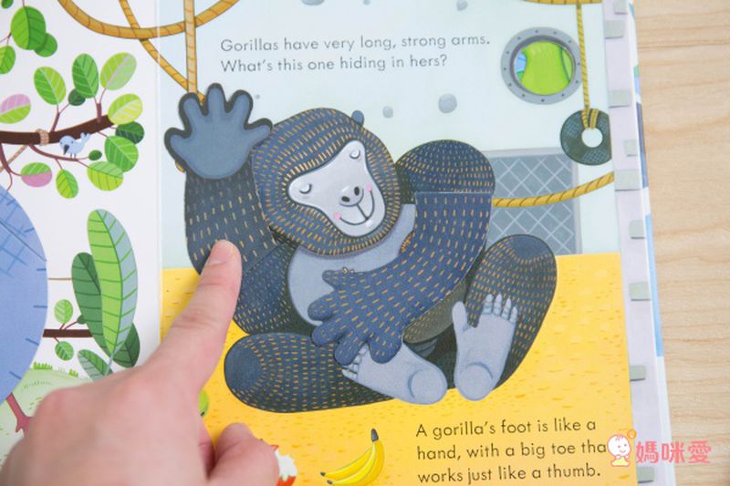 下殺42折！六本精裝只要 $999 ✦ 英國 Usborne ✦ Peep Inside 系列