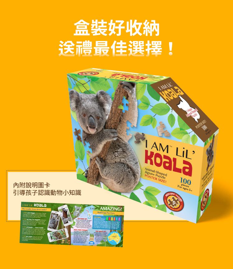 Madd Capp - I AM 動物拼圖-100,我是無尾熊
