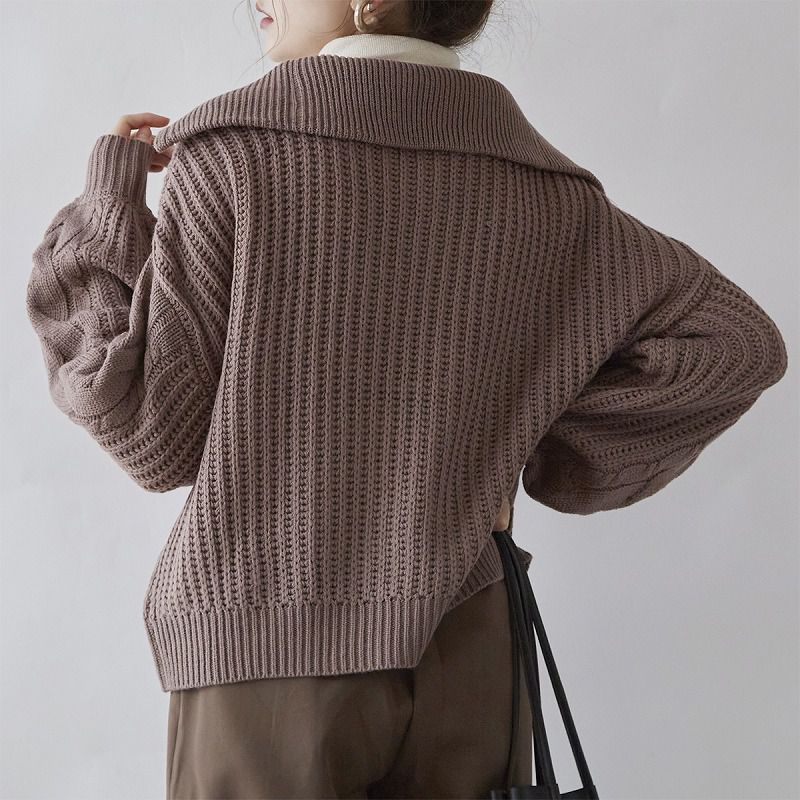 日本 Rejoule - 拉鍊大翻領編織紋針織毛衣-黑 (M(Free size))