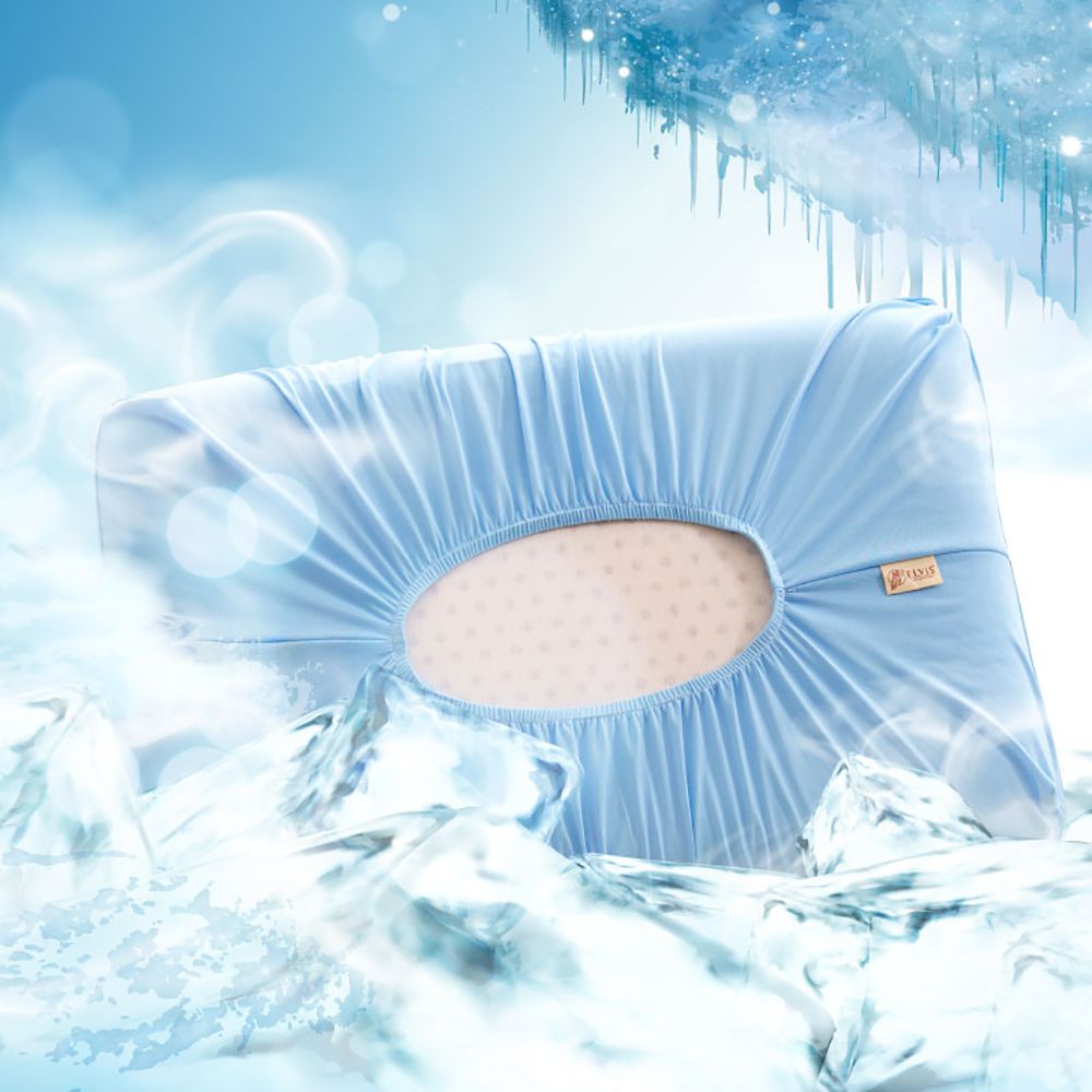 ELVIS 愛菲斯 - 旅行戶外用品-冰涼助眠-你的隨行枕頭套 2入組(含旅行環保袋)