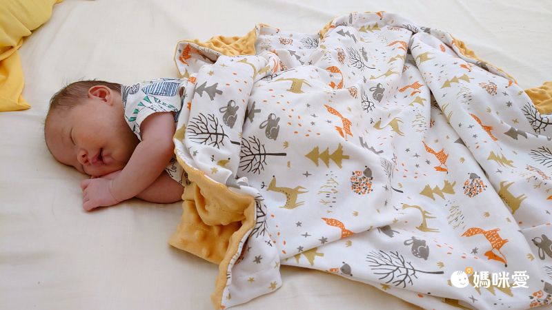 柔仕 - 舒眠豆毯 厚款-神秘赤狐