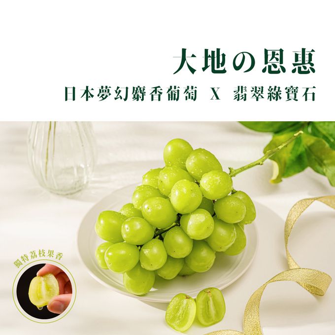 果子禮 - 日本麝香葡萄2房入禮盒-(500-550g ±10%/X2房)