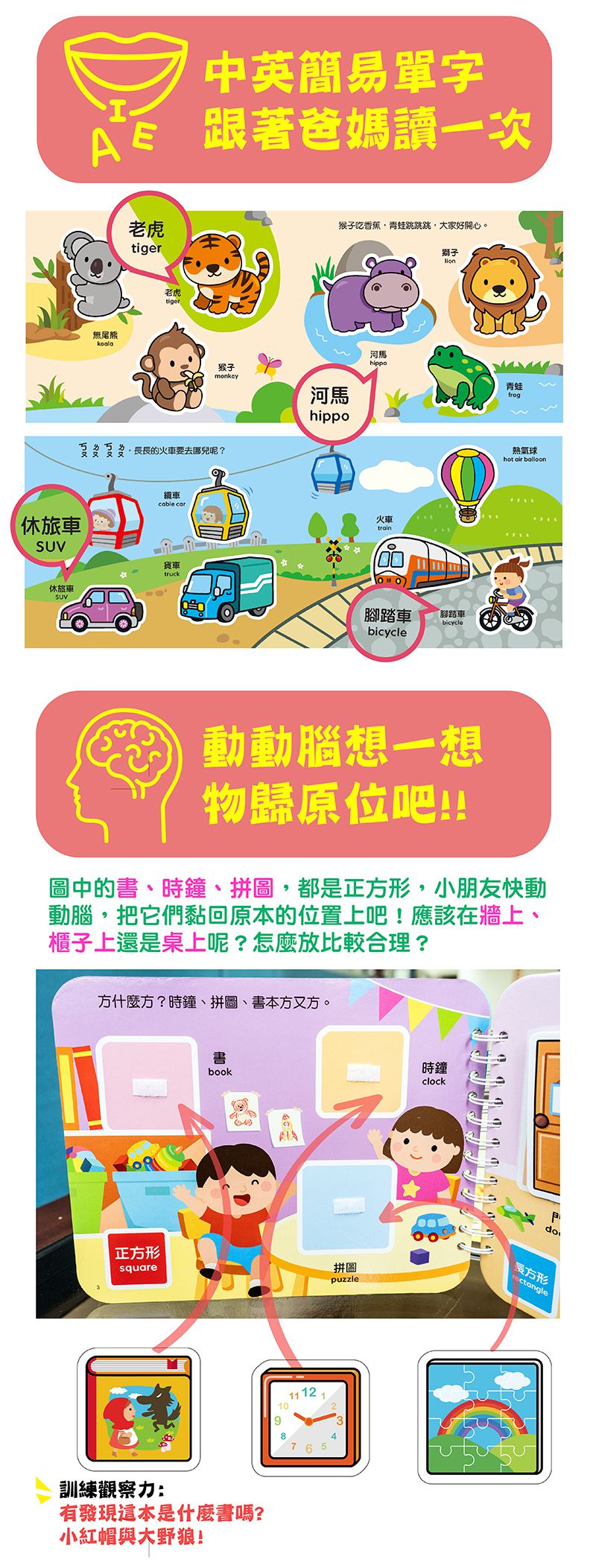 寶寶認知黏貼書+寶寶認知塗色本-蔬菜水果