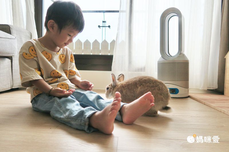 媽咪愛獨賣81折！Dyson 三合一涼暖空氣清淨機 HP03