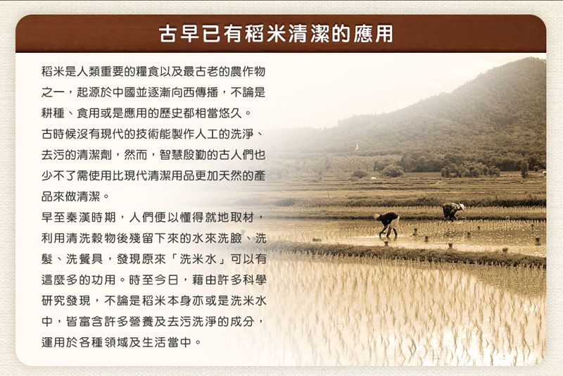 毛寶 maobao - 米精萃洗碗精-2入組-1000g*2