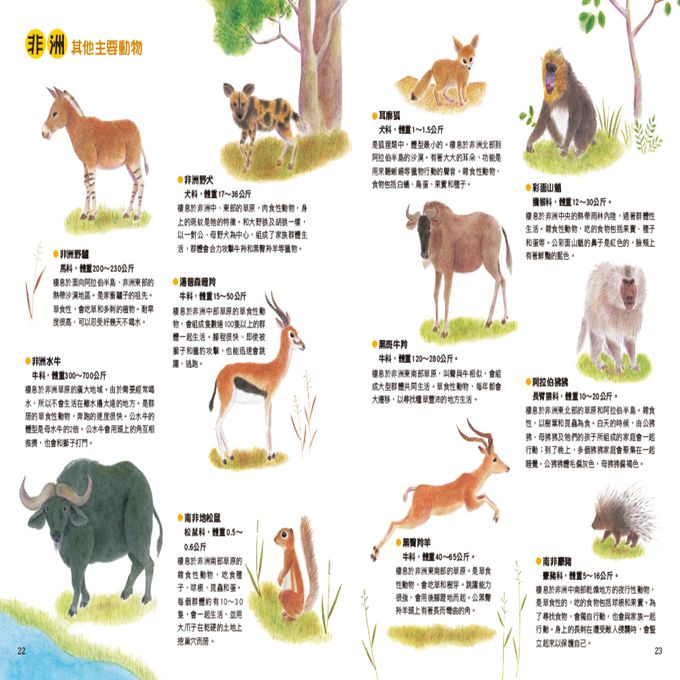 野生動物生態繪本