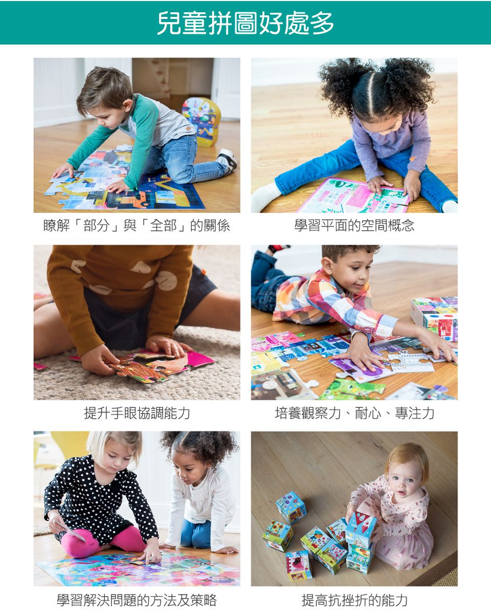 Crocodile Creek - 鐵盒圖鑑拼圖-非洲動物-150片-6歲以上