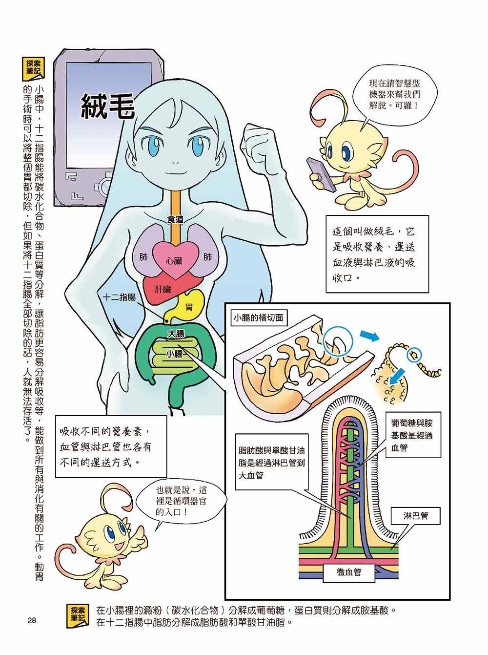 科學驚奇探索漫畫4-人體迷宮調查！血液冒險篇