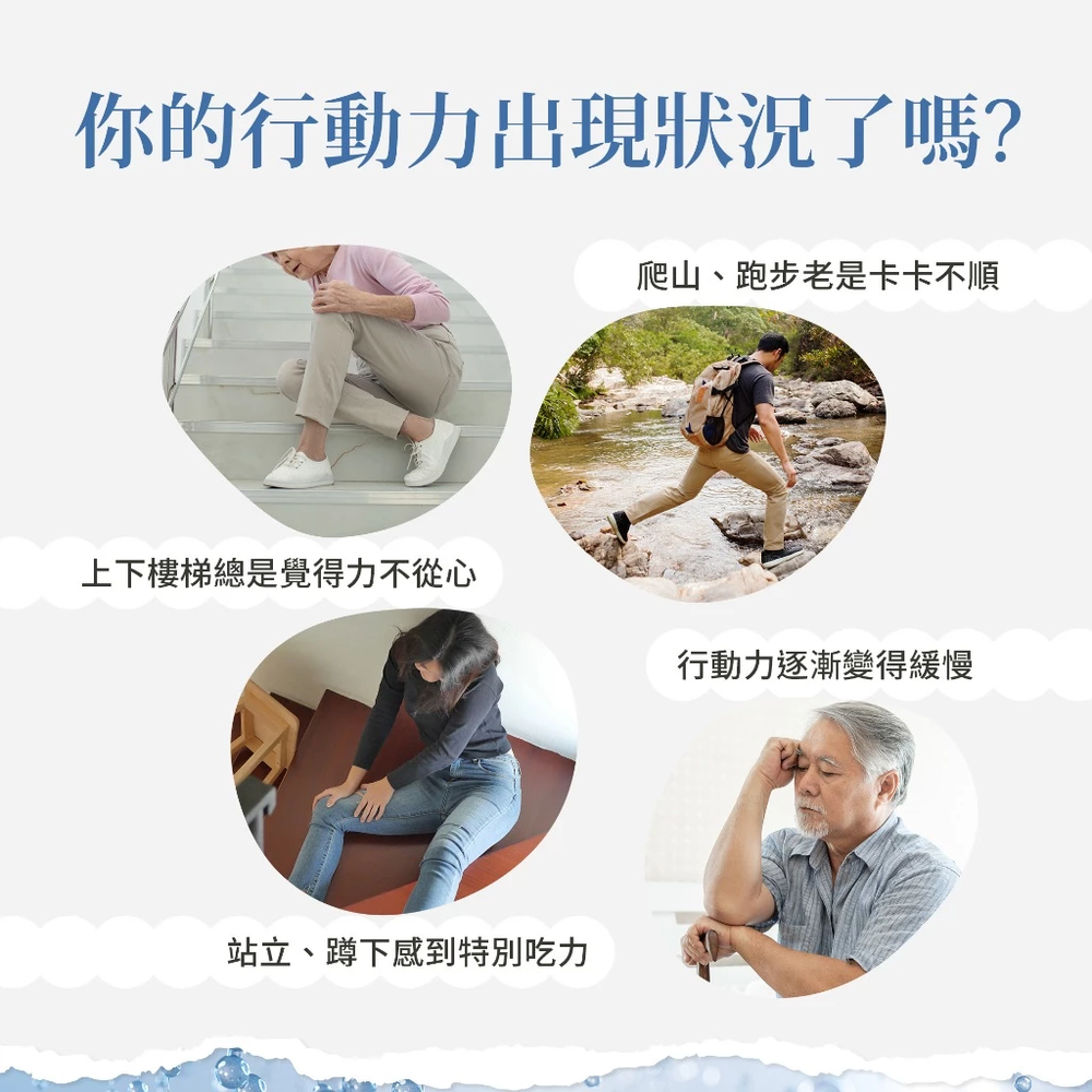 Sanct Bernhard 德國百年草本-UC-II 非變性第二型膠原蛋白 (60顆/罐)