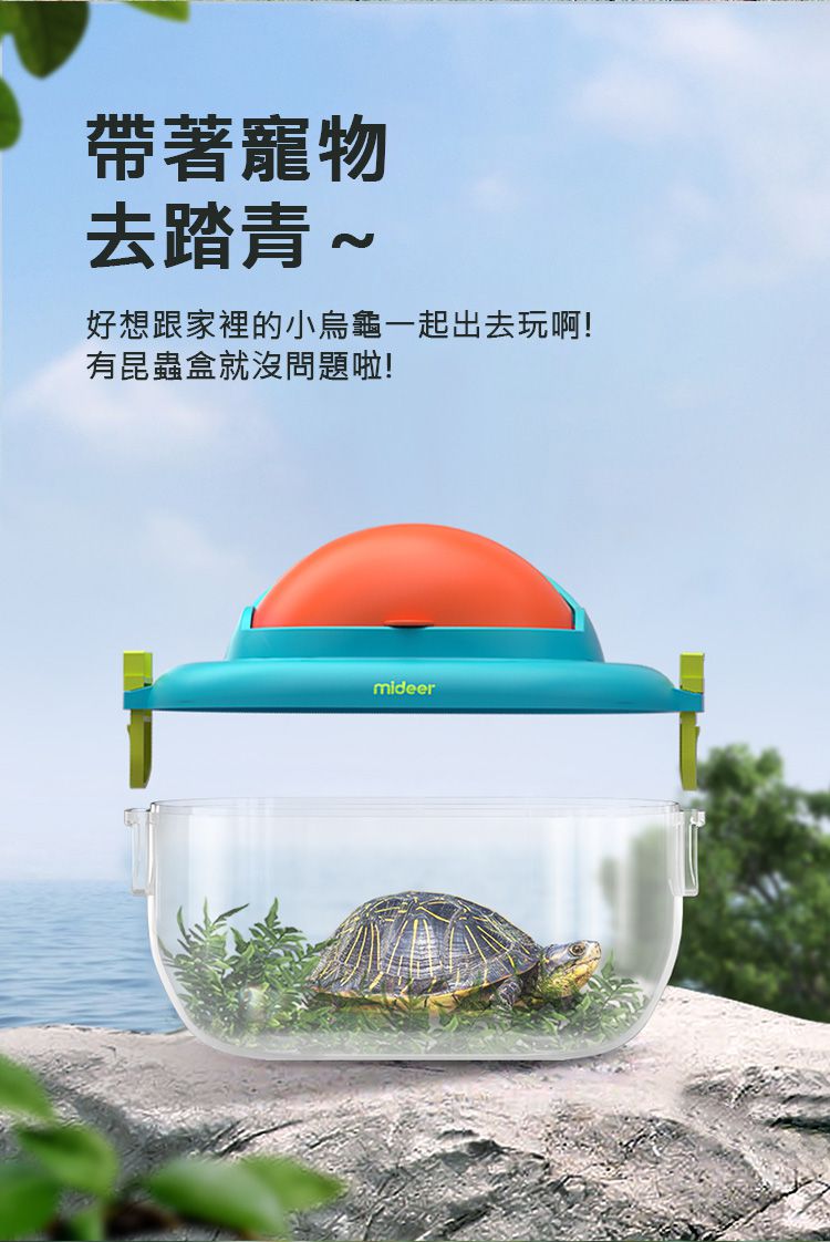 MiDeer - 昆蟲觀察盒
