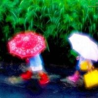 用戶頭像