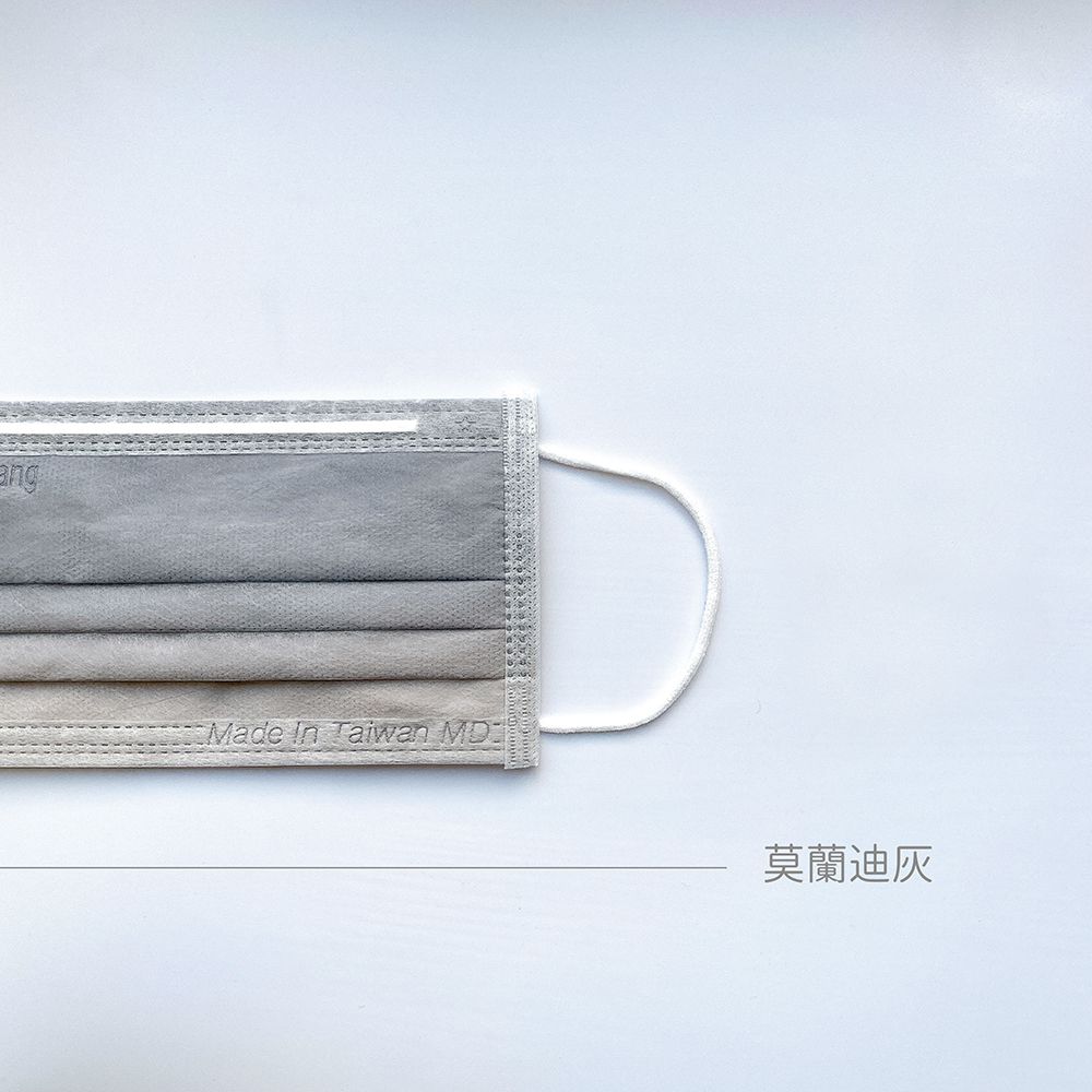 公主系漸層、爆走恐龍【STYLEi 史戴利】雙鋼印兒童口罩